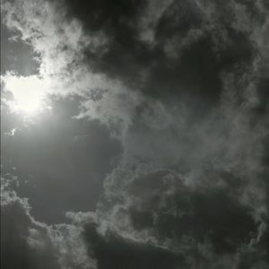 Meet your Posher, Eden